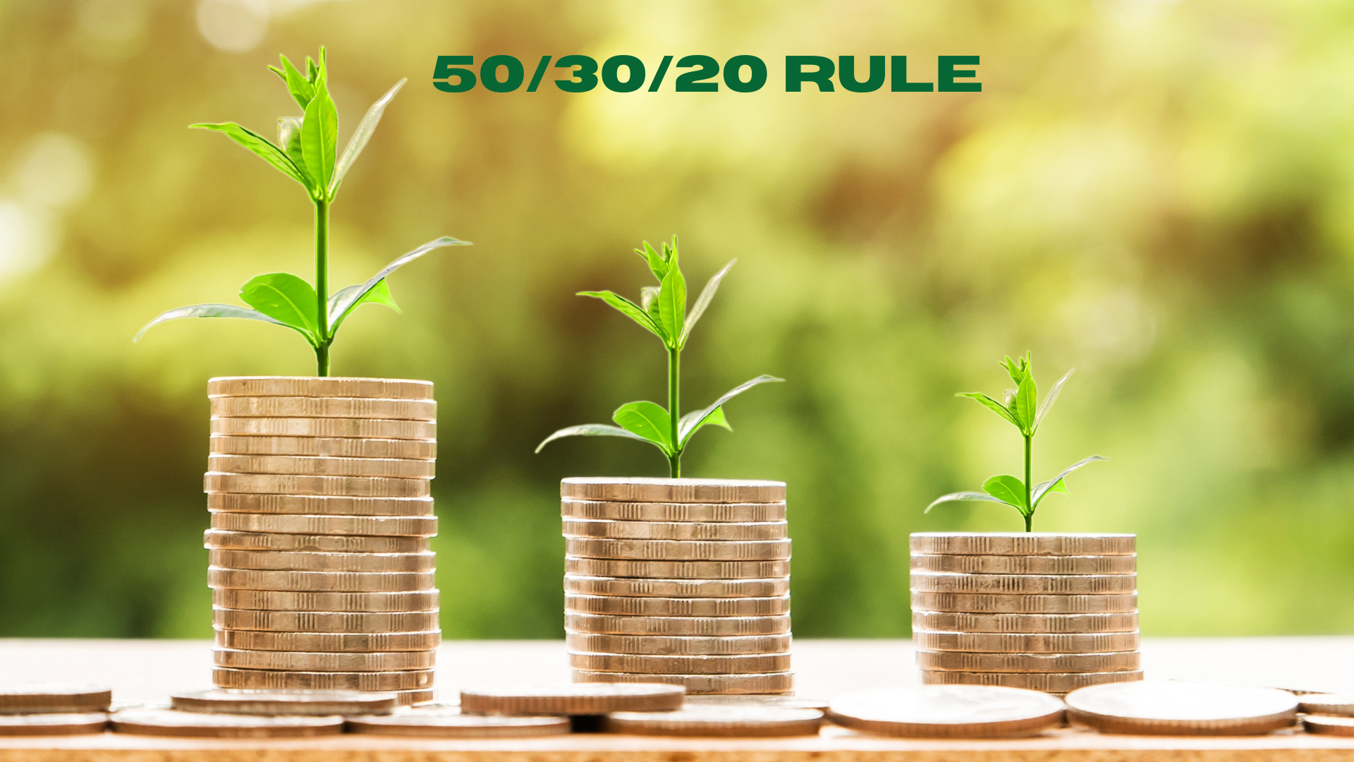 50/30/20 Rule