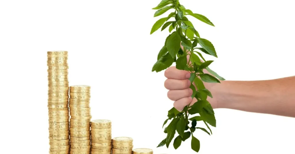 10 Investment Strategies for Beginners to Build Wealth 2 10 Investment Strategies for Beginners to Build Wealth