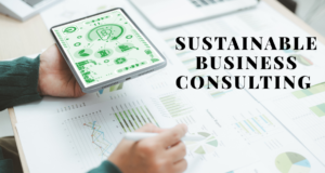 6 Ultimate Sustainable Business Consulting Strategies Sustainable business consulting